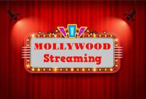 Malayalam Ott - Cinefry