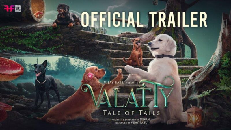 Valatty Movie Budget and Collection