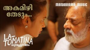La Tomatina Movie Budget and Collection