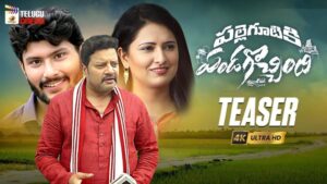 Palle Gootiki Pandagocchindhi Movie Budget and Collection