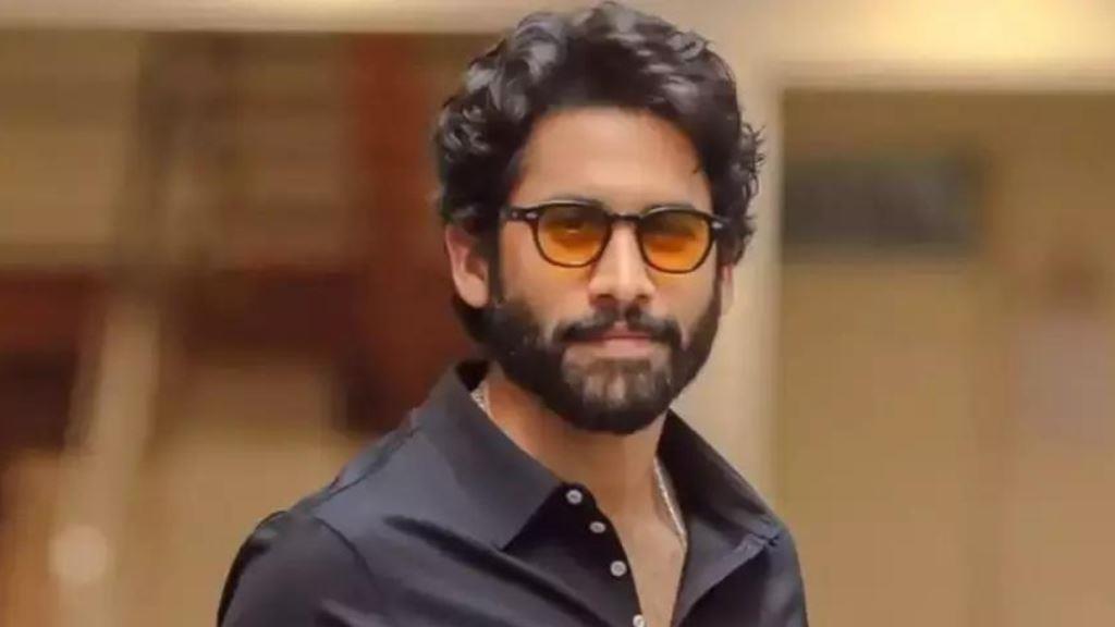 Naga Chaitanya Kannada Dubbed Movies List, Hit Or Flop