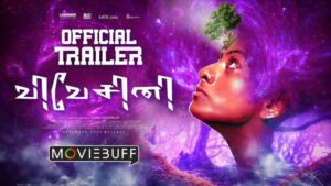 Vivesini Movie Budget and Collection