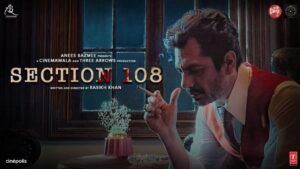 Section 108 Movie Budget and Collection
