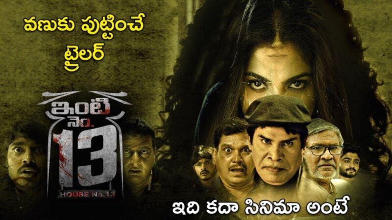 Inti Number 13 Movie Budget and Collection
