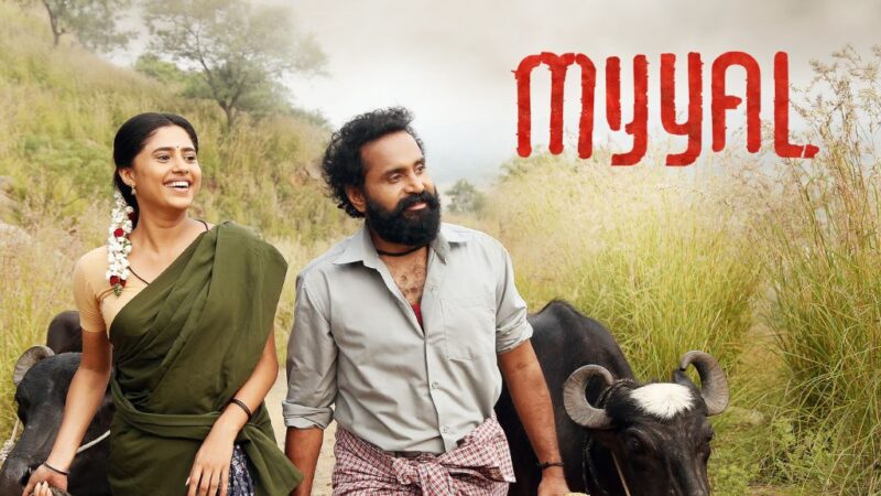 Myyal Bof Office Collection