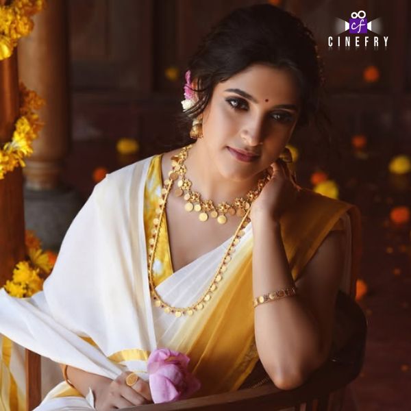 Meenakshi Dinesh Movies List