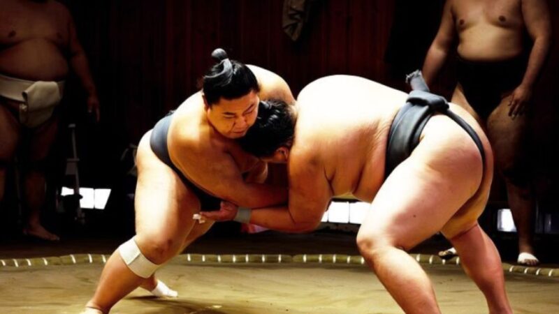 How do sumo wrestlers choose their ring name